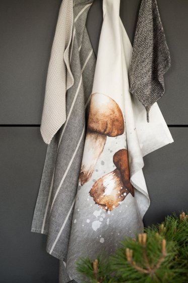 MUSHROOM, LOLA, TERRY & LENNI