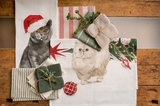 TIKKA, BALOU, LOLA, NICLAS, TERRY & COLLIN 