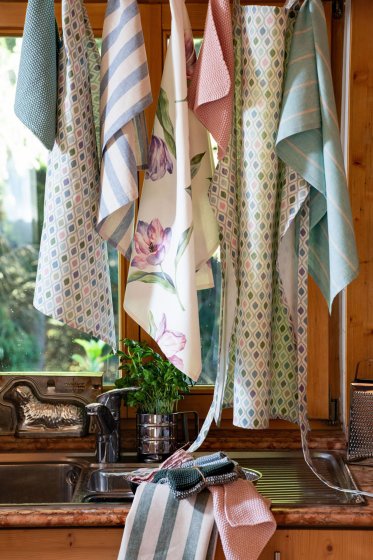 LOLA, TARIS, NICLAS, TULIPS & TERRY